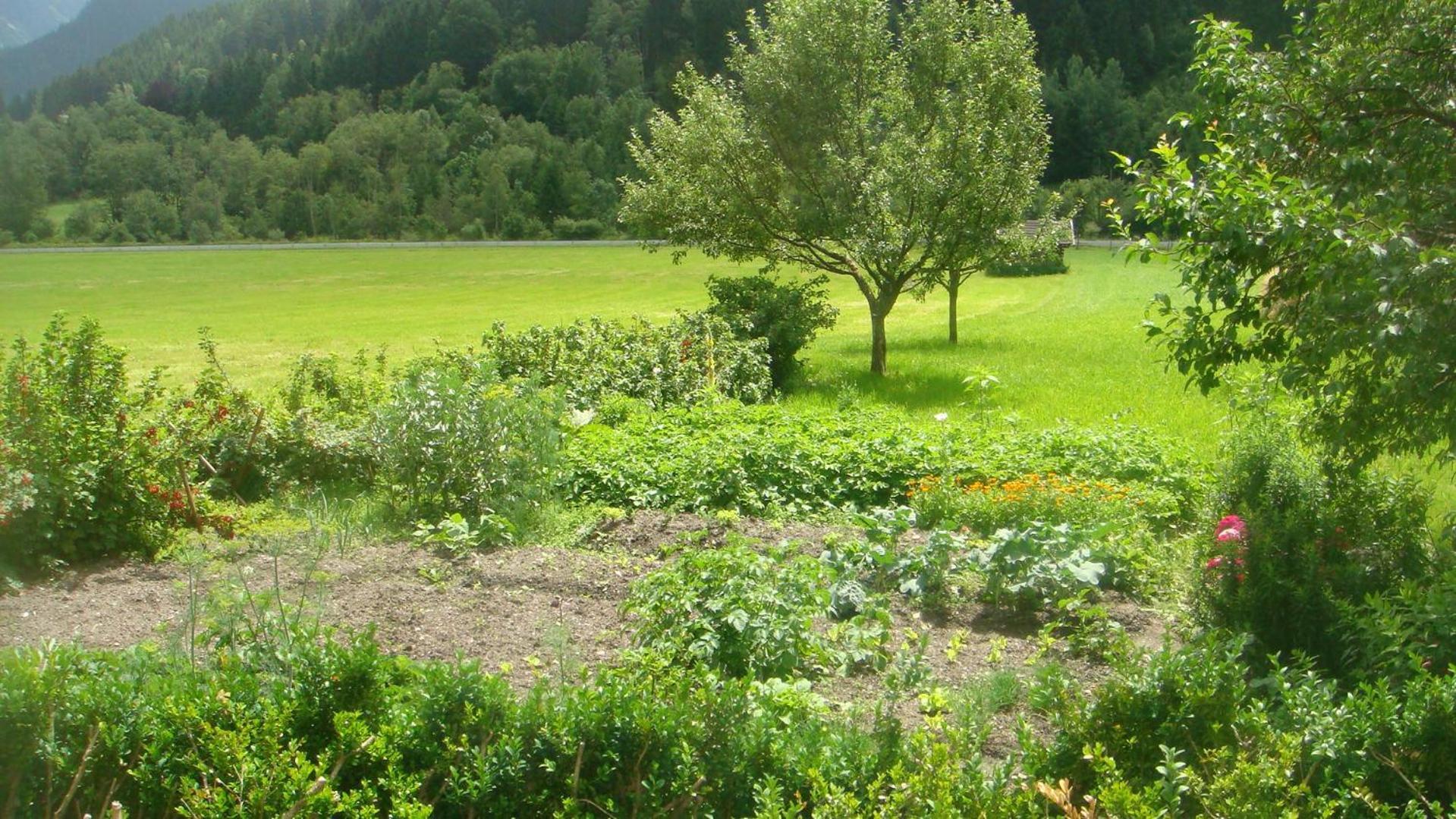 Bio-Bauernhof Obertrattenbachhof Neukirchen am Großvenediger Exteriör bild
