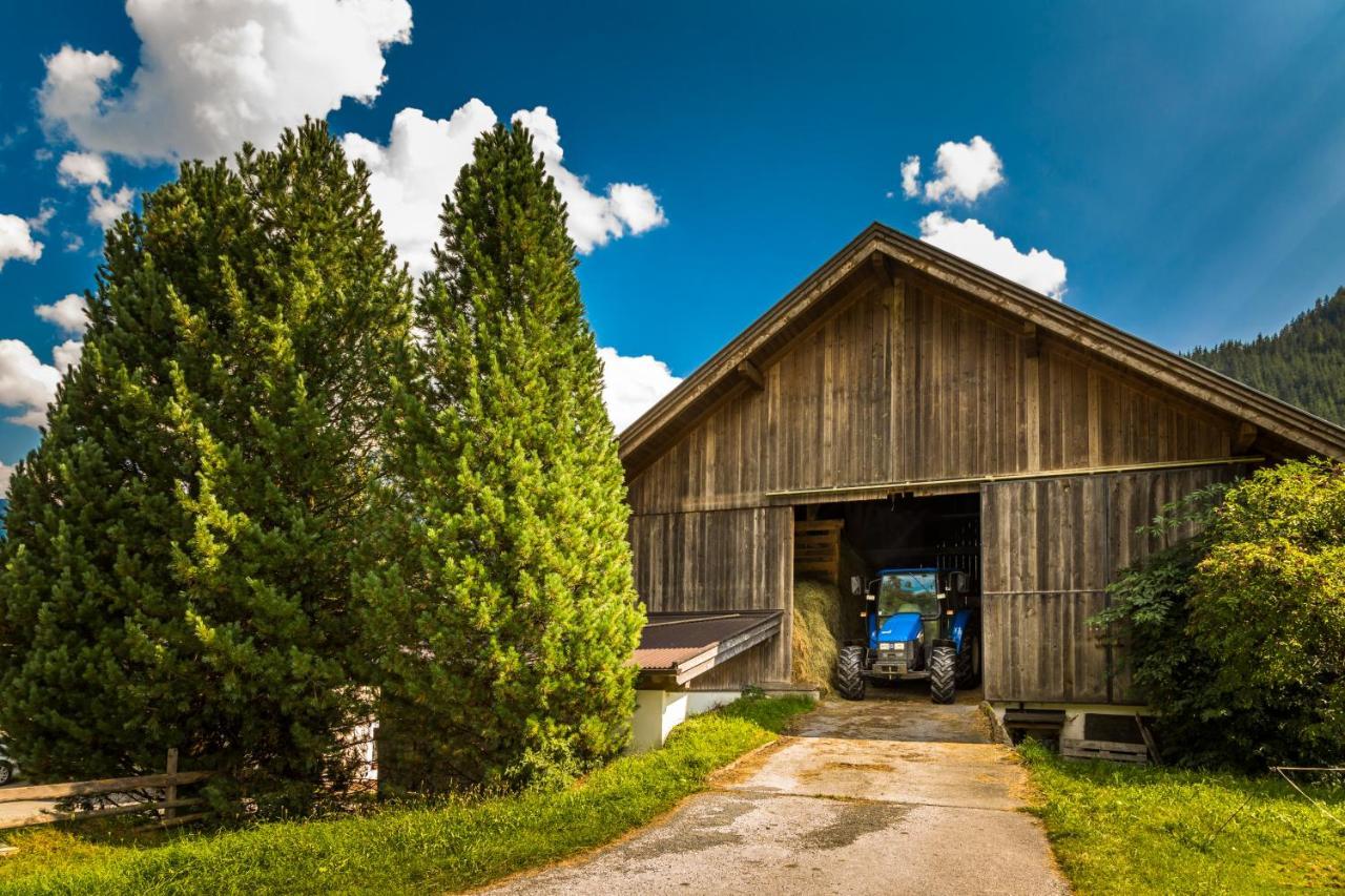Bio-Bauernhof Obertrattenbachhof Neukirchen am Großvenediger Exteriör bild